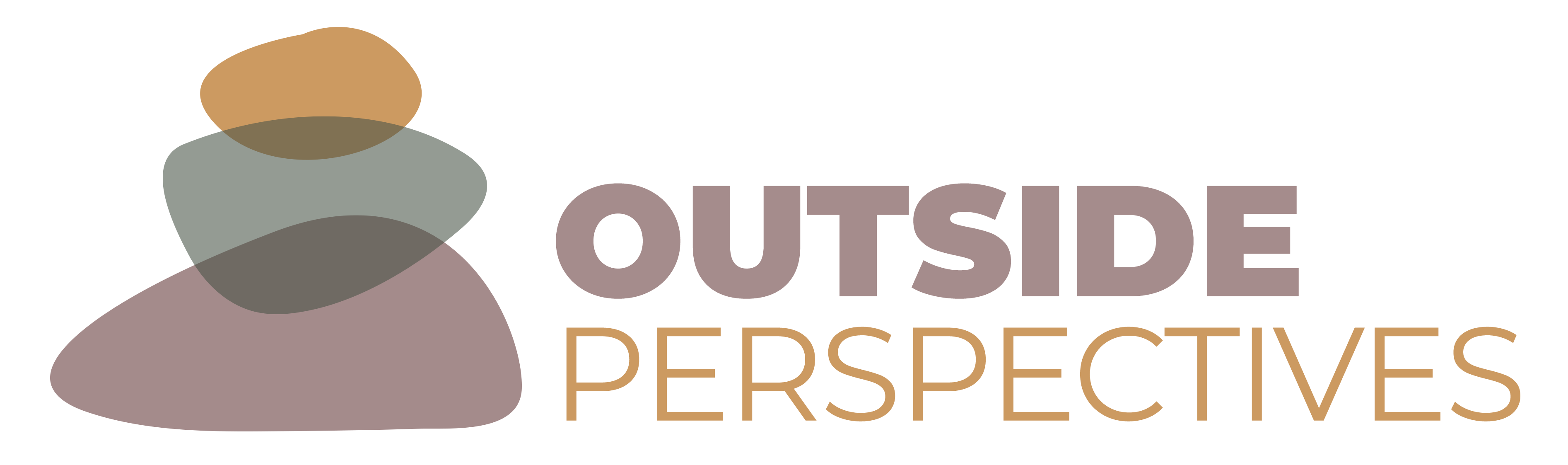 Outside Perspectives